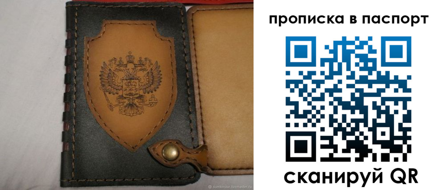 регистрация в Полярных Зорях